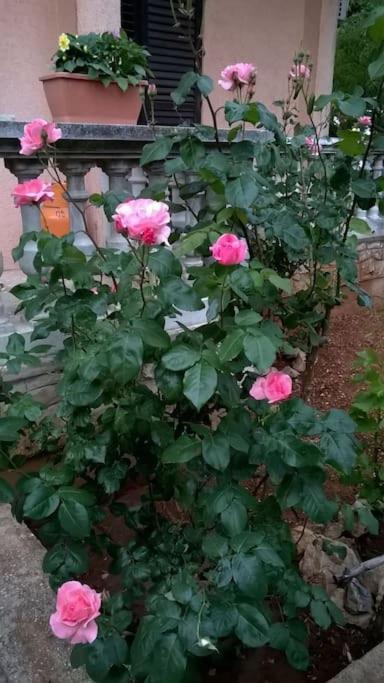 וודיצה Apartments Dijana מראה חיצוני תמונה